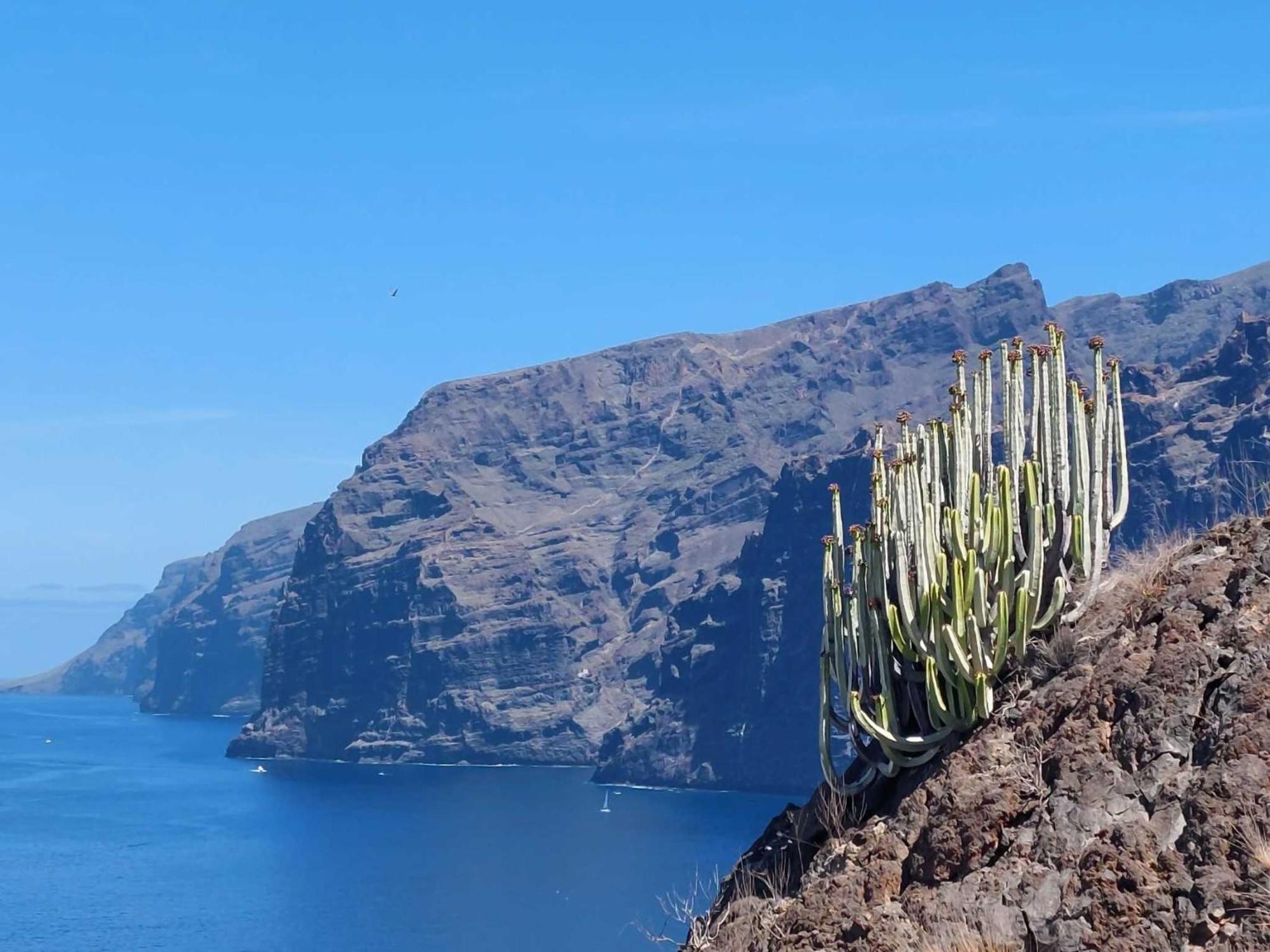 Appartamento Mareverde Centrale Vicino Al Mare Ma Costa Adeje  ภายนอก รูปภาพ